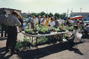 Un de nos premiers marchés horticoles Prise par Un membre de la société d'horticulture 